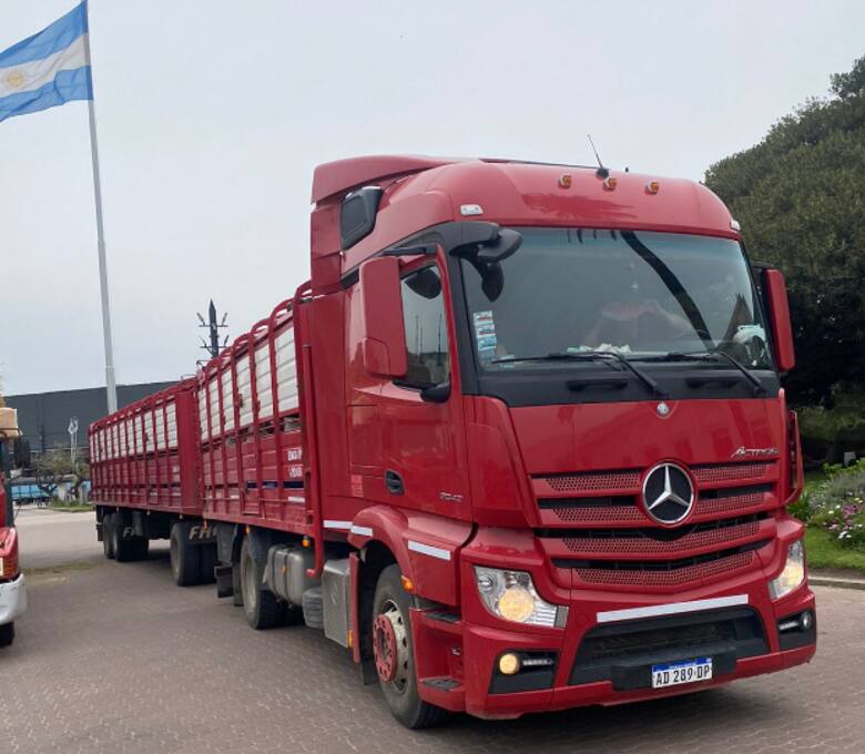Un viaje de 3000 kilómetros: la odisea de las cabañas fueguinas para llegar al centenario de Hereford