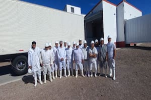 Exportaron carne ovina congelada a Qatar desde la Patagonia