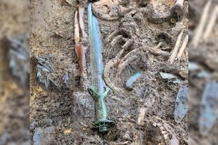 Arqueólogos alemanas encontraron un arma con empuñadura octogonal, hecha enteramente de bronce y que data de finales del siglo XIV 