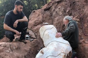 Salió a pasear con su perro y descubrió un dinosaurio gigante de hace 70 millones de años