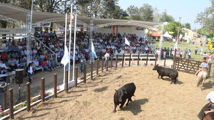 Desfile de campeones en la Sociedad Rural de Formosa por la Expo 2017