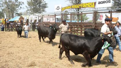 Desfile de ejemplares en la Expo de la Sociedad Rural de Formosa