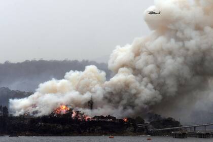 Desgarradoras imágenes de Australia tras el paso del fuego