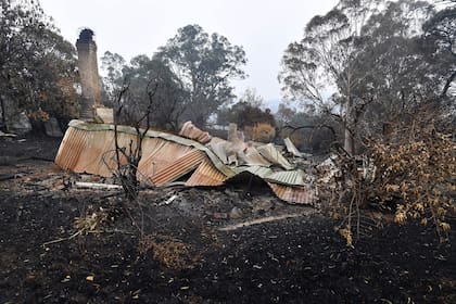 Los incendios afectan al país desde septiembre