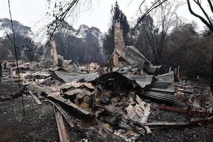 Los incendios han destruido una superficie equivalente a la isla de Irlanda