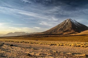 Cómo es la “mina de oro genética” que hace posible la vida en el desierto de Atacama, el más seco del planeta