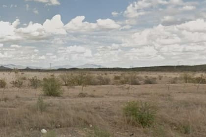 Desierto de Sonora.El lugar es bastante particular porque solo tiene dos estaciones, que son húmedas y van de diciembre a marzo y de julio a septiembre.