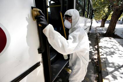 Desinfección del transporte público, en Mar del Plata