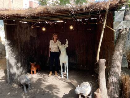Desirée De Ridder y su instalación titulada "El rancho de la Cambicha"