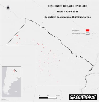 Desmontes ilegales durante el primer semestre de 2025, según un análisis de Greenpeace