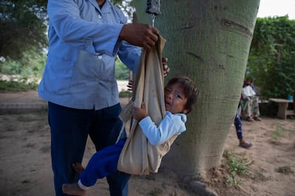 Desnutricion infantil en las comunidades wichi de Salta. Una asistente de salud de la comunidad Misión la Paz toma medidas de talla y peso