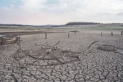DESOLACIÓN. Tierra reseca en el estado australiano de Nueva Gales del Sur, el más castigado por una sequía que ha hecho desaparecer ríos y lagos