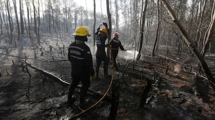 Desolación tras la tarea de los bomberos de apagar el incendio en el bosque