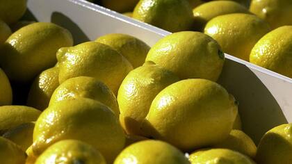 La Argentina es líder en el comercio de limón