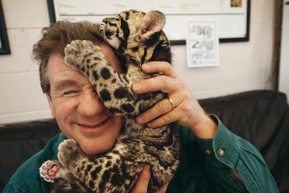 Después de la foto tomada en el Columbus Zoo de Ohio, un leopardo longibando escaló hasta la cabeza de Joel Sartore