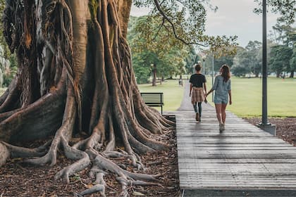 Después de la inestabilidad del lunes y martes, se esperan días soleados y agradbles en Buenos Aires
