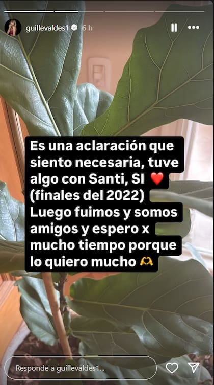 Después de los rumores, Guillermina Valdés se sinceró sobre su relación con Santi Maratea (Captura: Instagram @guillevaldes1)