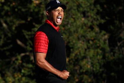 Después de más de dos años, vuelve al triunfo en el Chevron World Challenge, pero su juego ya no es el mismo