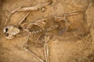 Después de mucho tiempo, un grupo de investigadores encontró el singular motivo detrás de la desaparición de cadáveres de la batalla de Waterloo