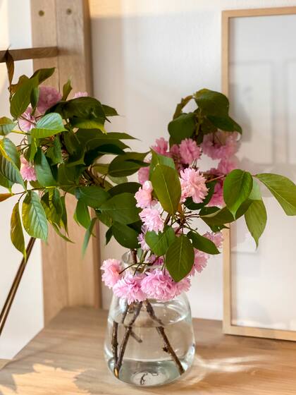 Después de que caen las flores empiezan a surgir las hojas verdes, que ofrecen otro tipo de belleza.