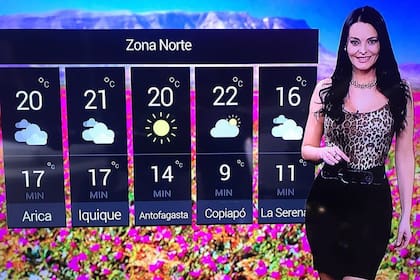 Después de su mudanza a Chile comenzó a ser "la chica del clima" por su trabajo en distintos canales de televisión