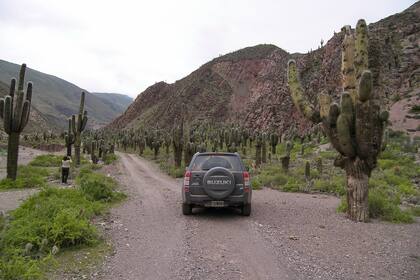Después de su primer viaje hacia Entre Ríos, la pareja francesa recorrió las rutas argentinas en varias ocasiones. (Foto: Jean-François Danger)