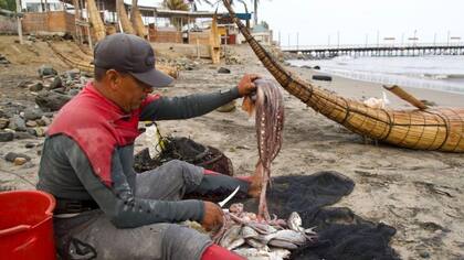 Después de surfear de regreso a la playa, los pescadores comparten su captura con la comunidad