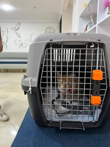 Después de varios obstáculos, Zahara logró salir de Marruecos y llegó a Nueva Jersey