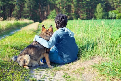 Después del encuentro con los canes, los investigadores notaron que  redujeron significativamente los niveles de cortisol de los niños