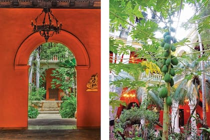 El color ladrillo de la fachada y el lobby continúa su influencia intimista en las galerías, y se apoya en almohadones y arreglos.