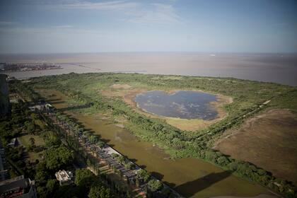 Después del piso 43 la vista de la Ciudad es 360 grados ya que supera la línea de los 180 metros de los otros edificios de la zona. Imagen de la reserva ecológica a 235 metros.