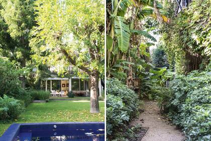 Después. Los desniveles fueron resueltos en tres planos contenidos por quebrachos colocados de canto (izquierda). Los laterales de la casa, abrazados por la presencia de la enredadera ampelopsis y la vegetación exuberante son encantadores pasadizos tropicales.