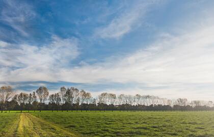Destacan la participación de la Argentina en las esferas de discusión políticas, internacionales, institucionales e intergubernamentales, de múltiple representación: “Como país tenemos mucho diferencial, por lo que debemos posicionar nuestra realidad”