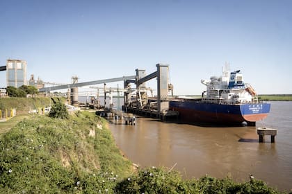 Destacaron que el crecimiento estuvo principalmente impulsado por el desempeño del complejo de trigo, que totalizó 4.037.857 toneladas, y del complejo cebada, con 998.653 toneladas registradas