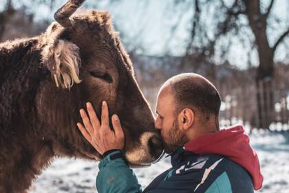 Destacaron una mejora en la calidad de las vacunas utilizadas en el campo