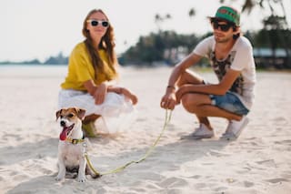 Pet friendly. 5 hoteles top en Argentina y el mundo para alojarse con mascotas