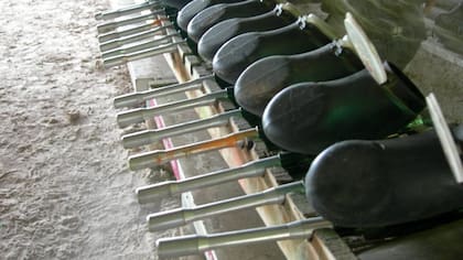 Destreza, estrategia y trabajo en equipo se combinan al jugar al paintball