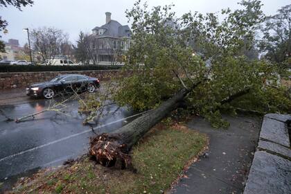 Destrozos y árboles caídos en New Bedford, Massachussetts. (Peter Pereira/The Standard-Times via AP)