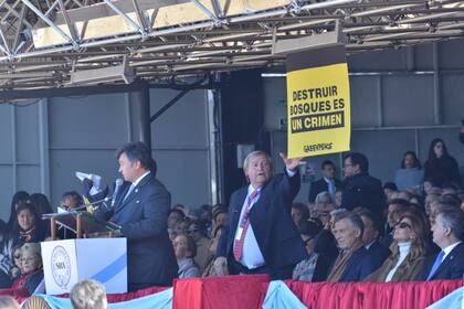 "Destruir bosques es un crimen", indicaba un cartel