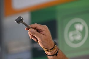 Se viene una semana de remates con más de 100.000 cabezas