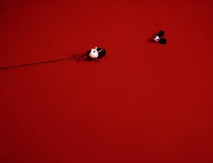 Detalle de la instalación Cuerda negra, una de las obras de Liliana Porter que incluye la muestra Para leer al Pato Pascual