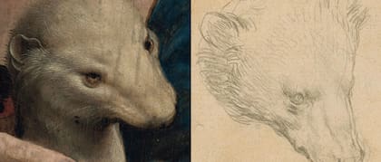 Detalle de las cabezas de los animales creados por Da Vinci