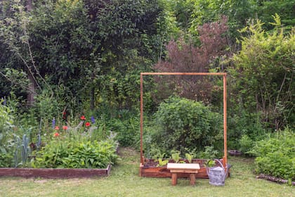 Detalle de los canteros donde crecen los "ingredientes"