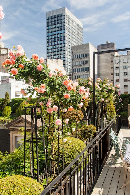 Detalle de los rosales que son protagonistas de esta terraza