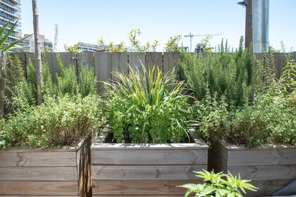Detalle del cantero del sector de la cocina, con plantas comestibles como Citrus japonica, Salvia officinalis, Rosmarinus 'Prostatus' y Mentha pulegium.