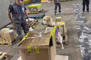 Detección de 17,4 kilos de hachís en una encomienda