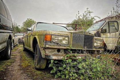 Deteriorados por el paso del tiempo e incluso con plantas creciendo en su interior, los autos fueron abandonados mucho tiempo atrás