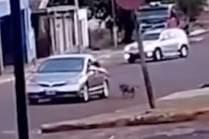 Un hombre arrastró a su perro atado a una soga mientras circulaba en auto