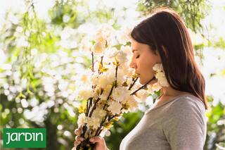 Cuáles son las flores reales detrás de los perfumes más icónicos del mundo