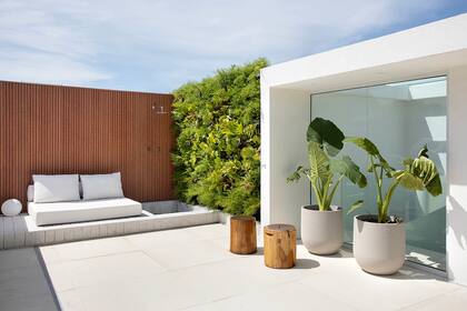 Detrás de las macetas, el panel vidriado que ilumina la escalera helicoidal.